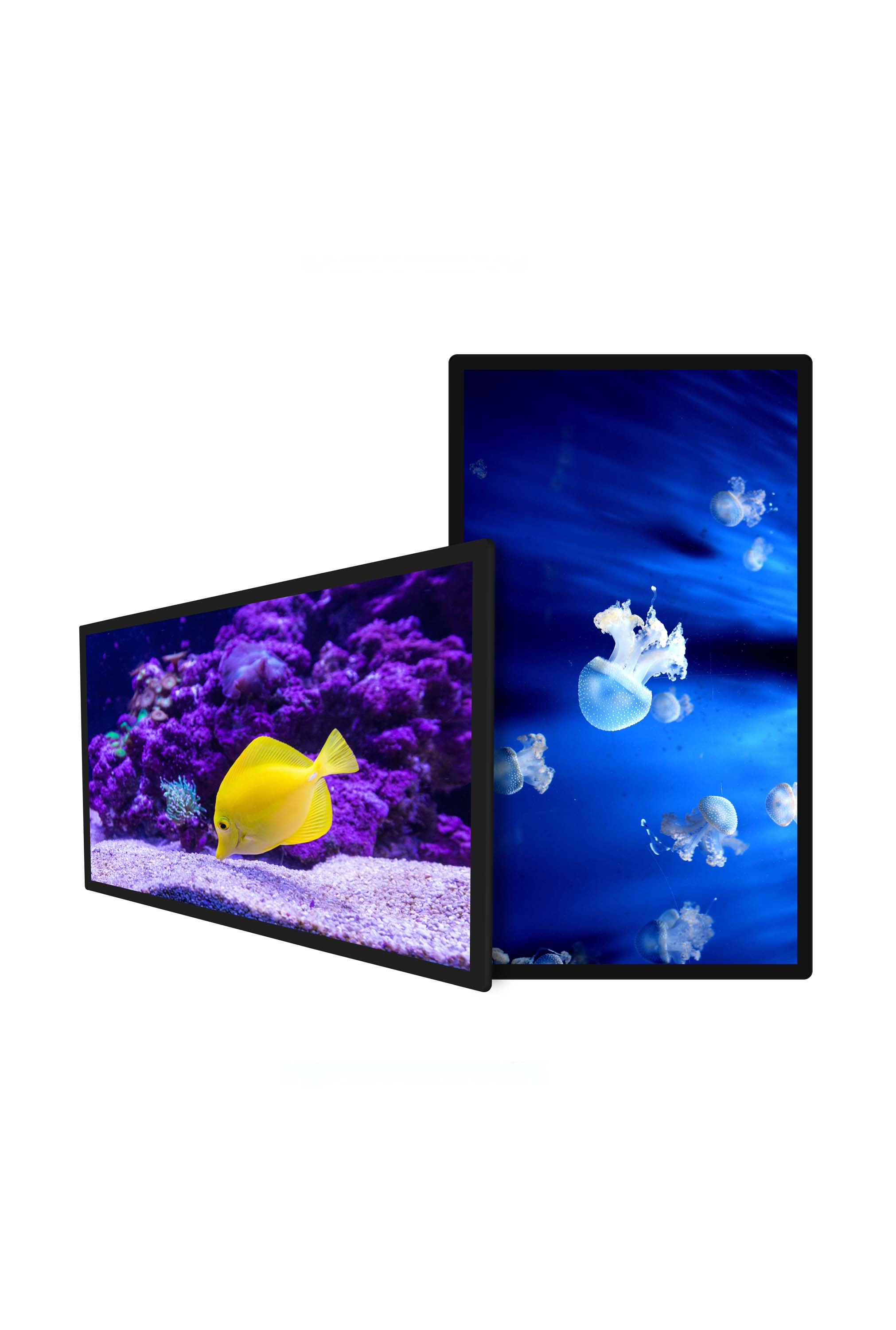 Wall Mount Digital Signage